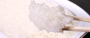 レトルト米飯・粥
